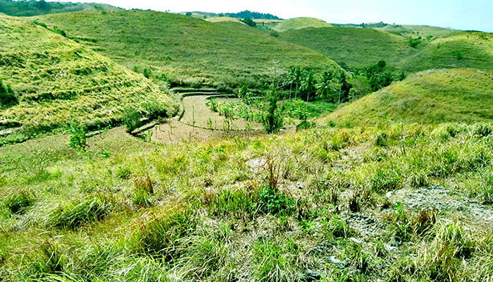 Teletubbies Hills Nusa Penida